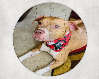 24-piece Round Puzzle