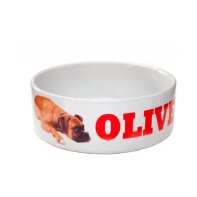 Fit for a King Ceramic Pet Bowl